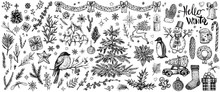 Winter Hand Drawn Sketches. Vector Vintage Christmas Plants And Symbols.