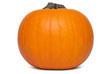 One Whole Orange Pumpkin For Halloween