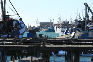 Boats on mooring after big fish catches 