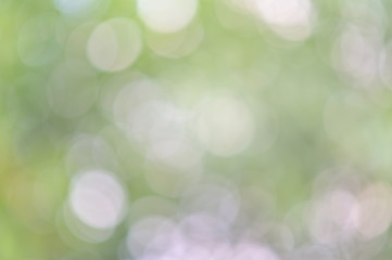 Aufkleber - Abstract green leaf bokeh background, green blurred abstract background from foliage sunshine background