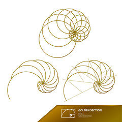 Golden ratio for creative design vector illustration.