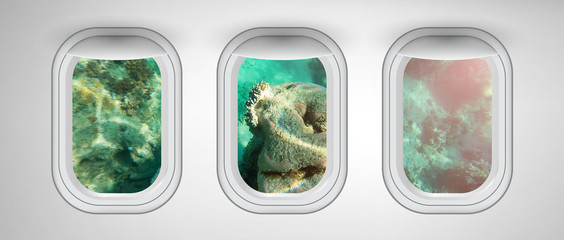 Wall Mural - Beautiful scenic view of Underwater landscape through the aircraft windows