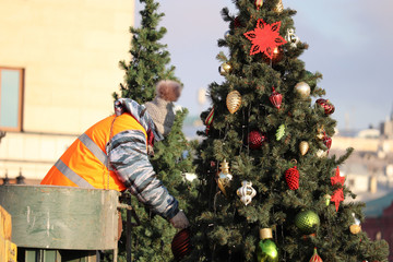 Wall Mural - Christmas trees installation in Moscow, New Year celebration in Russia. Woman worker hanging toys on fir tree branches