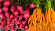 Bunch of fresh organic beetroots and carrots