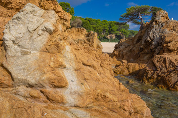 Wall Mural - Seascape of resort area of the Costa Brava near town Lloret de Mar in Spain