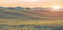 Tuscany, Rural Sunset Landscape. Sun Light And Clouds. Siena Province, Tuscany, Italy, Europe. Golden Autumn. Countryside, Green And Gold Fields. Vintage Tone Filter Effect With Noise And Grain.