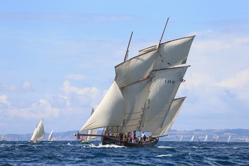 Vieux gréements en baie de Douarnenez