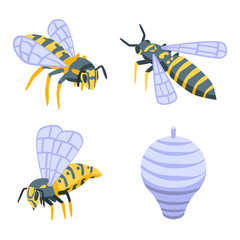 Wall Mural - Wasp icons set. Isometric set of wasp vector icons for web design isolated on white background