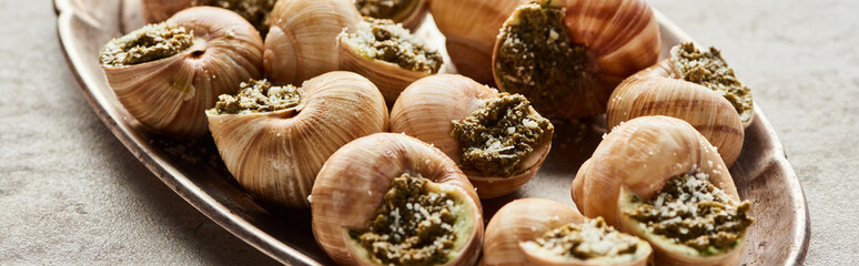 delicious escargots on plate on stone background, panoramic shot