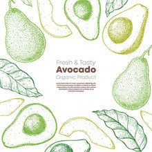 Avocado Hand Drawn Illustration. Avocado Frame. Sketch Vector Illustration. Can Used For Packaging Design.