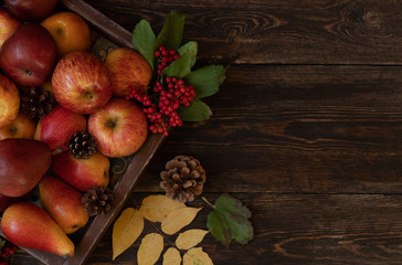 Wall Mural - Autumn food background with apples, pine cones, spices, berries and fallen leaves with copy space for text. Autumn food backdrop. Selective focus.