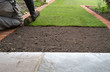 New grass turf being installed in a garden along new brick edging.