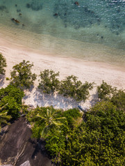 Wall Mural - Aerial view of the coastline of a beach with growing palm trees. Thailand