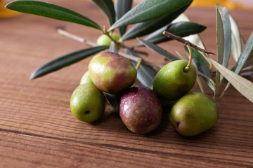 Sticker - natural olives with olive branches and rustic wooden background