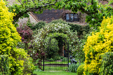 Scenic View Of Garden With Shrubs And Arbor