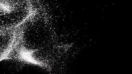 Poster - Abstract white dust particles floating on black background, monochrome. Animation. White dynamic motion of abstract snow.