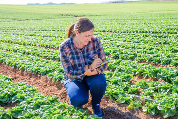 young technical woman working in a field of lettuces with a folder