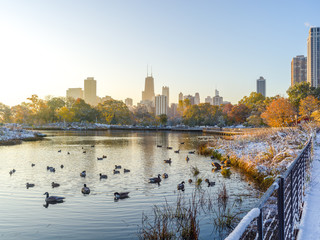 Wall Mural - Chicago Lincoln Park fall foliage in snow