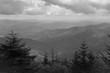 Monochrome View of Great Smoky Mountains