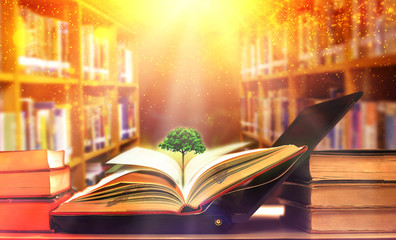 Poster - Stack of books in the library and blur bookshelf background