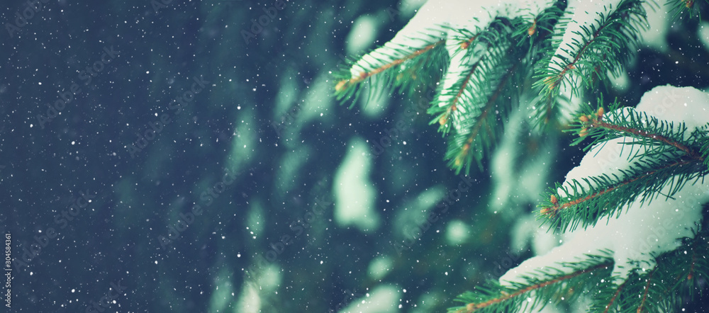 Winter Holiday Evergreen Christmas Tree Pine Branches Covered With Snow and Falling Snowflakes, Horizontal - obrazy, fototapety, plakaty 