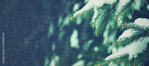 Fotomural Winter Holiday Evergreen Christmas Tree Pine Branches Covered With Snow and Fall