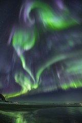 Wall Mural - the colorful northern lights over the calm ocean
