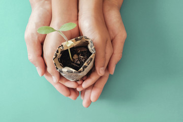 hands holding plants in newspaper pot, montessori education , CSR  social responsibility, Eco green sustainable living, zero waste, plastic free,  reponsible consumption, world environment day