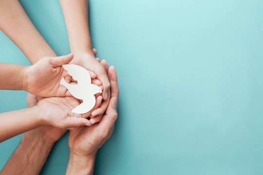 adult and child hands holding white dove bird on blue background, international day of peace or worl