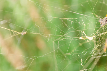 Web Outdoor