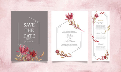 Wall Mural - Ready to use card or wedding invitation design; arrangement of watercolour Leucadendron flower; design template; floral elements and frame