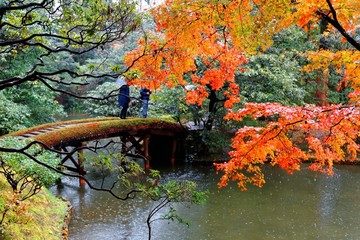 autumn scenery of a japanese garden in a public park in kyoto japan, with view of tourists walking o