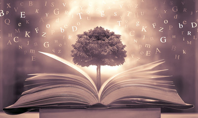 Poster - Imagine opening an old book blurred with magic power on the table and the English alphabet floating above the book with magic light as a beautiful background design.