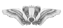 Portrait Of Badger With Wings. Hand Drawn Illustration. 