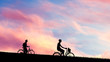 © Lasha Kilasonia - Man With Bicycle Silhouette at Sunset 3D Rendering