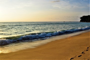 Wall Mural - sunset on the beach