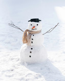 Fototapeta Na sufit - The snowman
