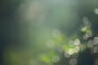 © wanchai - Abstract background of white bokeh on a soft green background