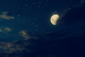 Wall Mural - big moon