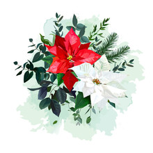 Red And White Poinsettia Flower, Christmas Greenery, Emerald Eucalyptus