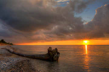 Driftwood on a Lake Huron Beach at Sunset - Grand Bend, Ontario