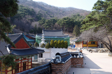 Wall Mural - Mitasa Buddhist Temple of South Korea