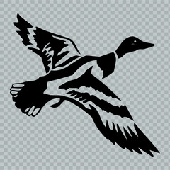 Flying duck. Vector.