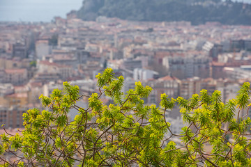 Canvas Print - French Riviera, city of Nice. Survey from the top, 600 meters above sea level