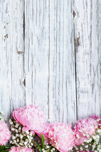 Bouquet Of Pink Peonies And Baby's Breath Flowers Over A White Rustic Wood Table Background  With Copy Space For Your Text. Flat Lay.