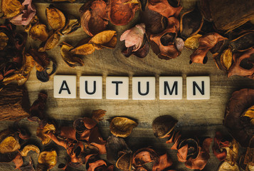  a sign that reads autumn 