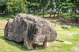 Fototapeta Desenie - Dolmen of go-board type called Toad Dolmen at Gochang dolmens site South Korea