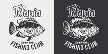 Vintage Emblem Tilapia Fish Retro Isolated Vector Illustration On A White Background.