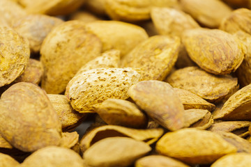 Soft-shell almond variety