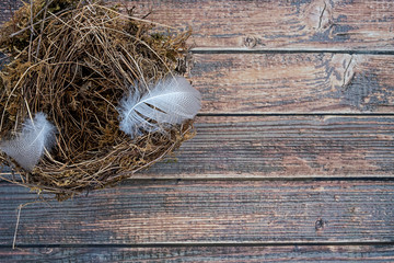 cosy home for birds